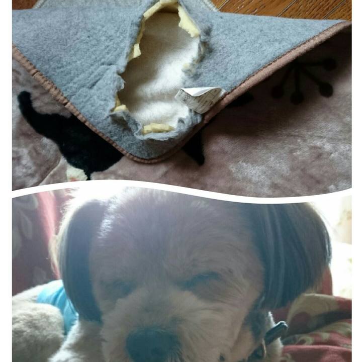 F8bb0fba 6d49 4db2 a5e5 8ca8f5d6a1e6 1516060089868