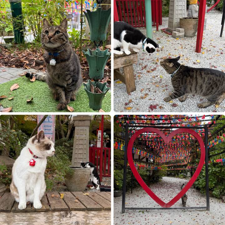 F8bb1312 c162 43b2 951c 0be5446af154 1763630854919