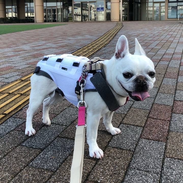 F8bb47f1 a41d 4cbc 815c 779160969f3f 1618705249783