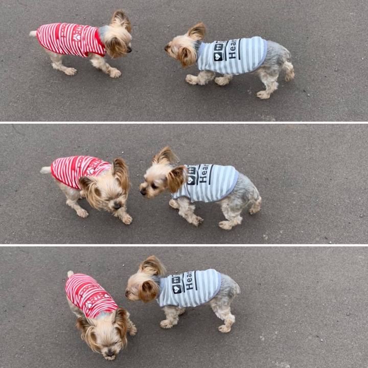 F8bbb40f 29fb 4909 a46e 58f0d4c8cd3a 1632043818901