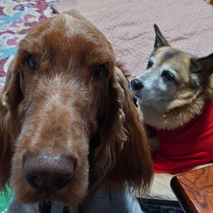 F8bbb97e 6e1b 494f 99b5 7406cb013eec 1609579621365