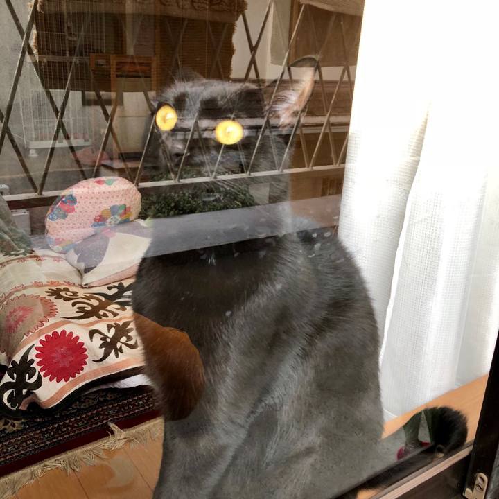 F8bbbaf0 6f65 4317 b7e3 927f236ffc15 1521894606175