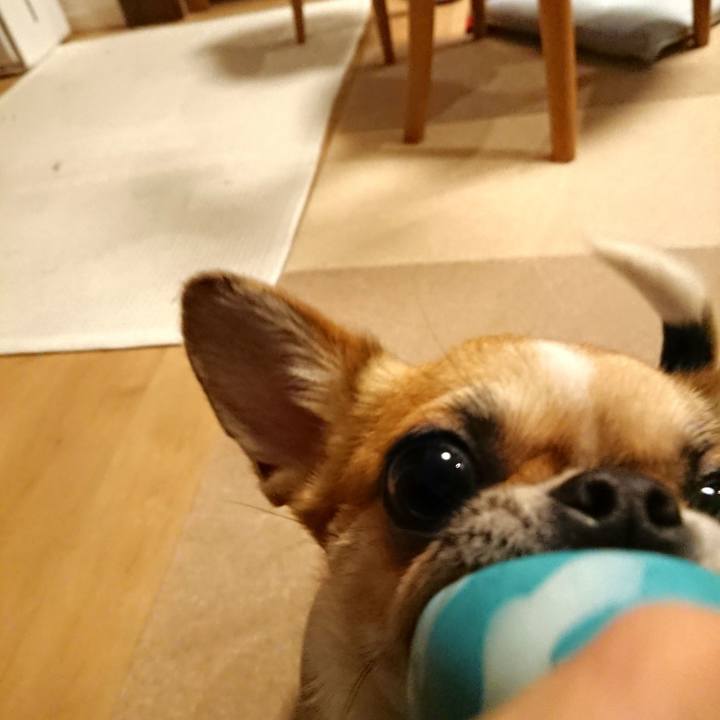 F8bbdfe0 9eb6 4501 a8cf 3bd8aedc1ba8 1547197391996