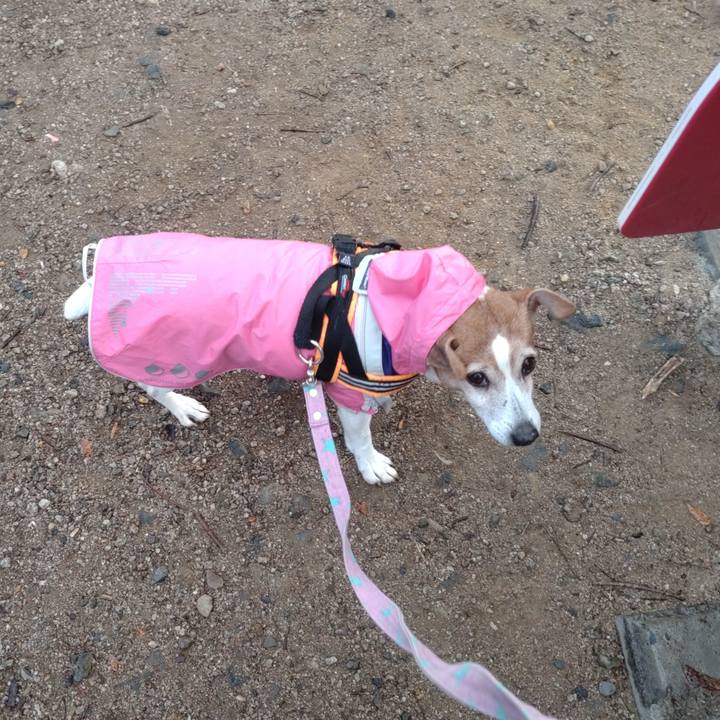 F8bc3f7e 2f86 4f03 8294 d22c302ee3d3 1765496256130