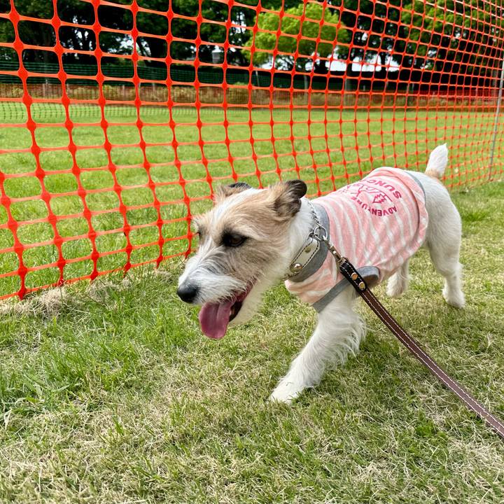 F8bc40a6 ec98 4c12 a29c e6ca47189642 1716140546920