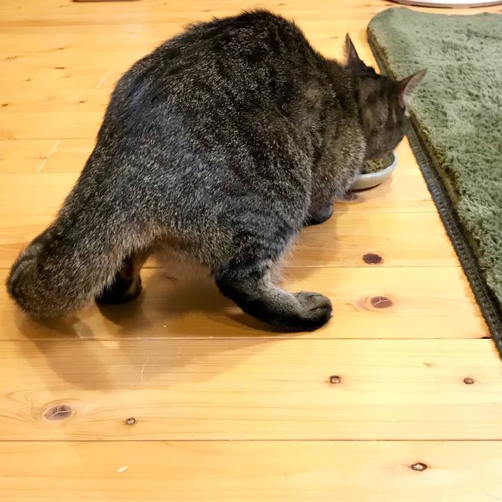 F8bc6841 80fd 4e0c 96df 43563f73a045 1554623924932