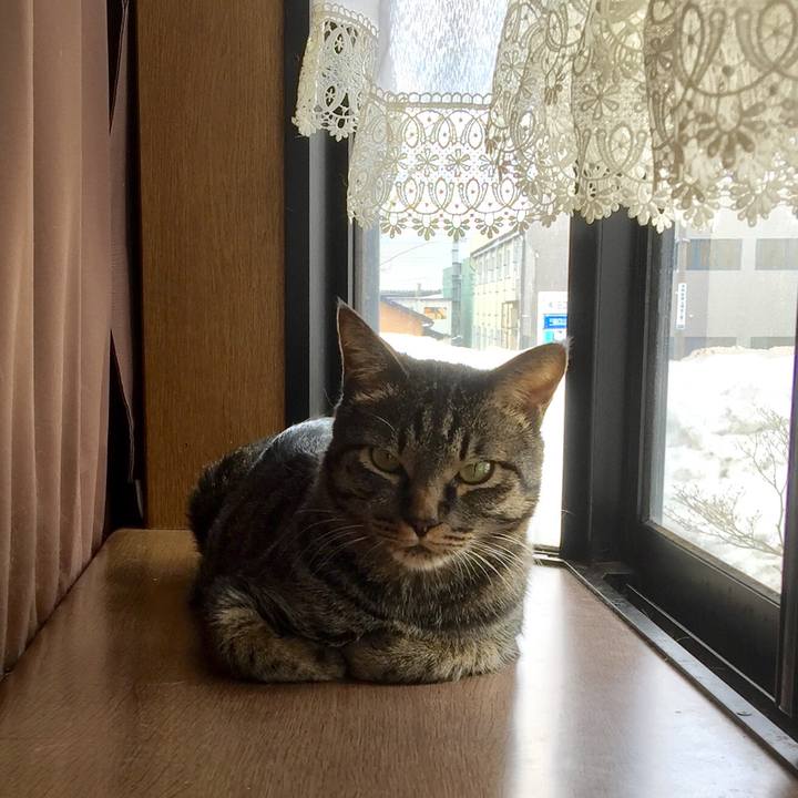 F8bc9fa3 6a15 442c b86c 6319cd5a34e0 1520421576660