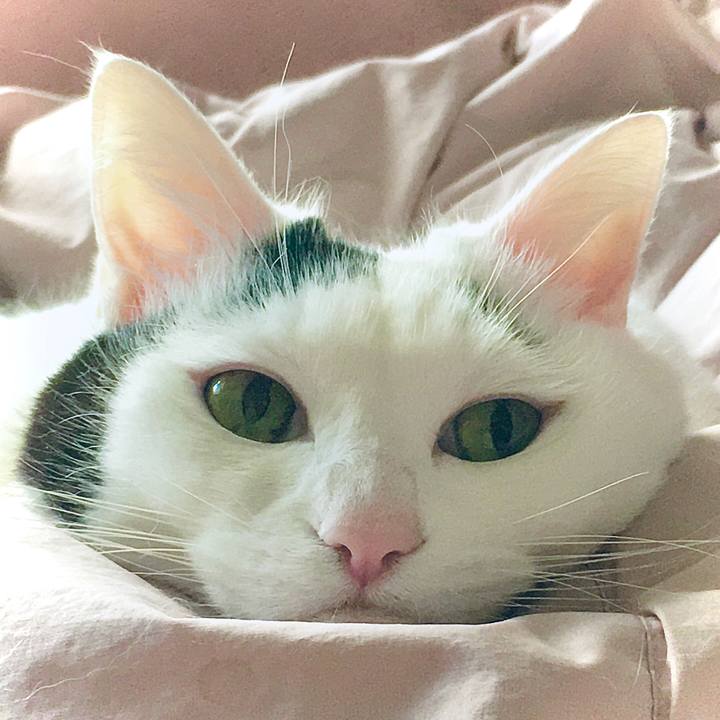 F8bca1a6 0e03 4649 95cf 26d887ebb7b0 1610607069849