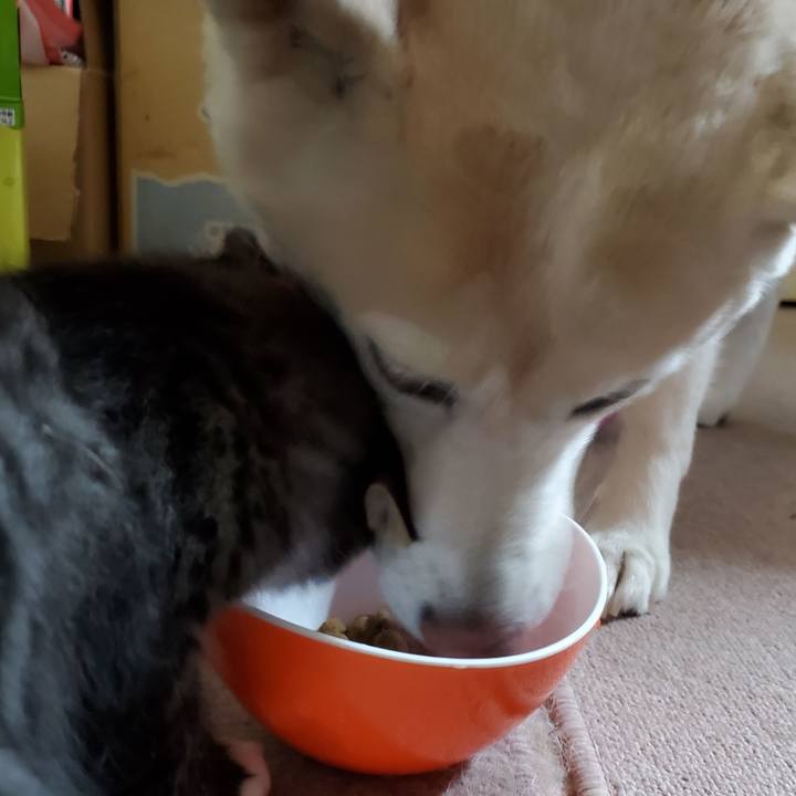 F8bcdc6f 9900 451e b80d 57e1d6c3650c 1628391242731