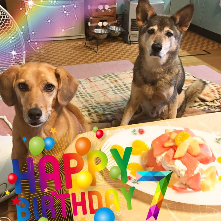 F8bce152 98ef 4c5a 86ee 2459b4aad3fb 1534324988144