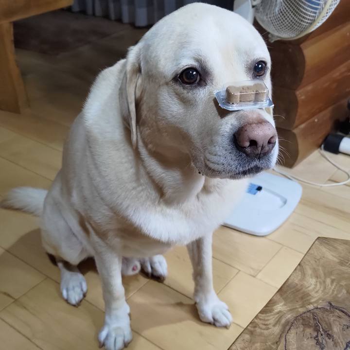 F8bcf01c 4b07 4558 95d1 72c309a87a5d 1663672986981