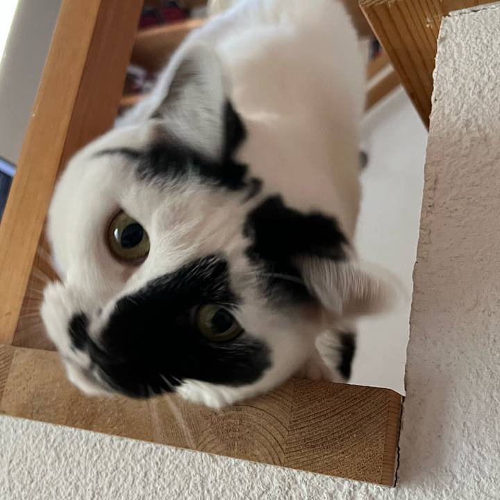 F8bd004b ba6b 432a beb1 1c012509f240 1763305684622