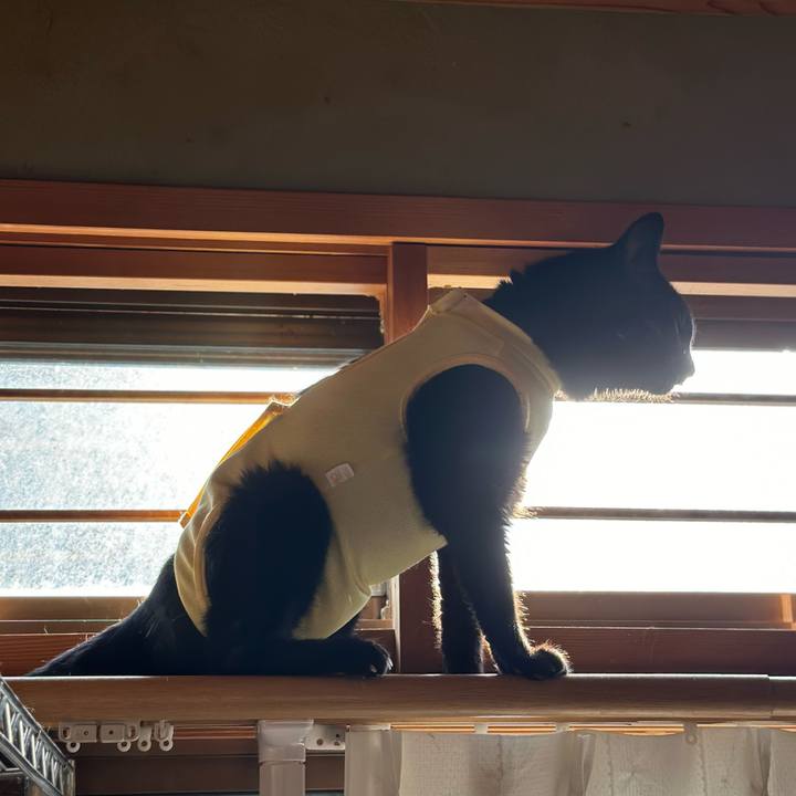 F8bd1228 6b24 4979 9d3e 87426b0008a3 1722556384127