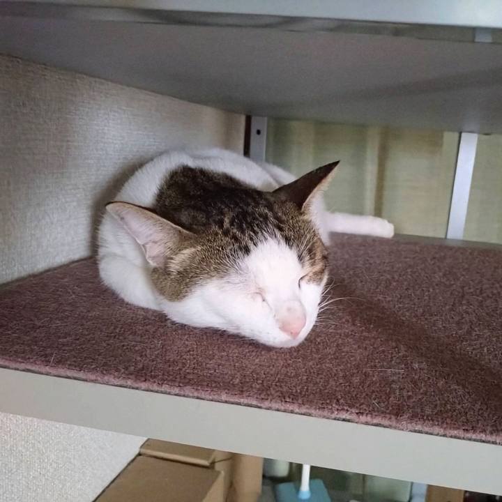 F8bd2c54 f2b6 4e81 8020 d1a99e96625a 1754300078831