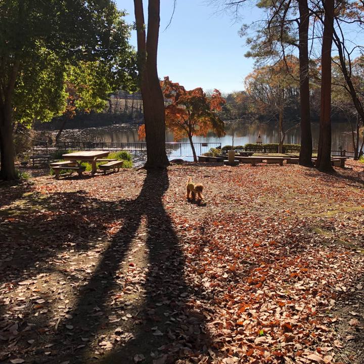 F8bd6621 5335 45f9 b352 70896c724757 1542808571262