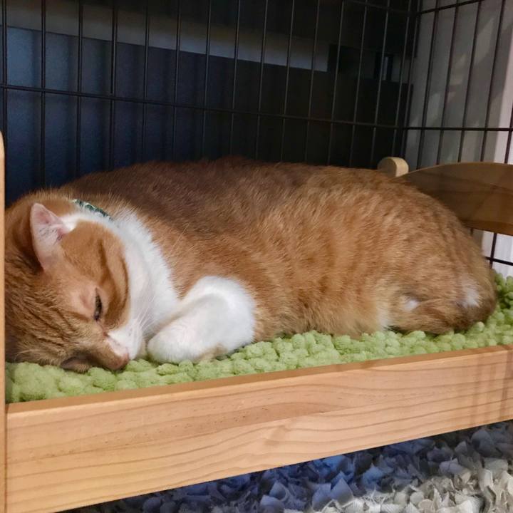 F8bd917e b5e5 4caf 9745 9d0223a69f7a 1570866446865