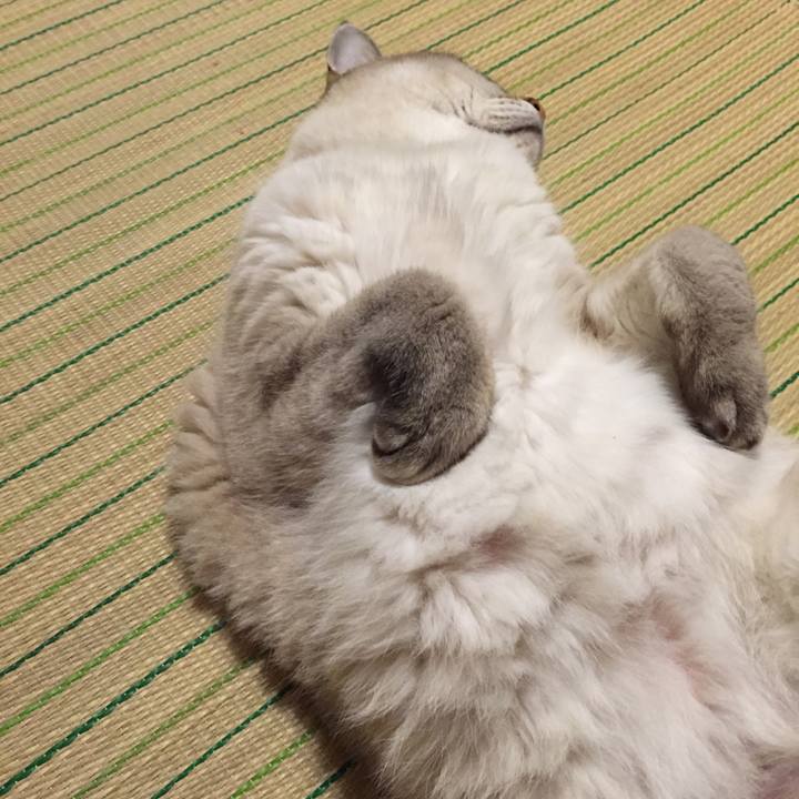 F8bda55e da2a 49b3 afad 7466ee707995 1536667163931