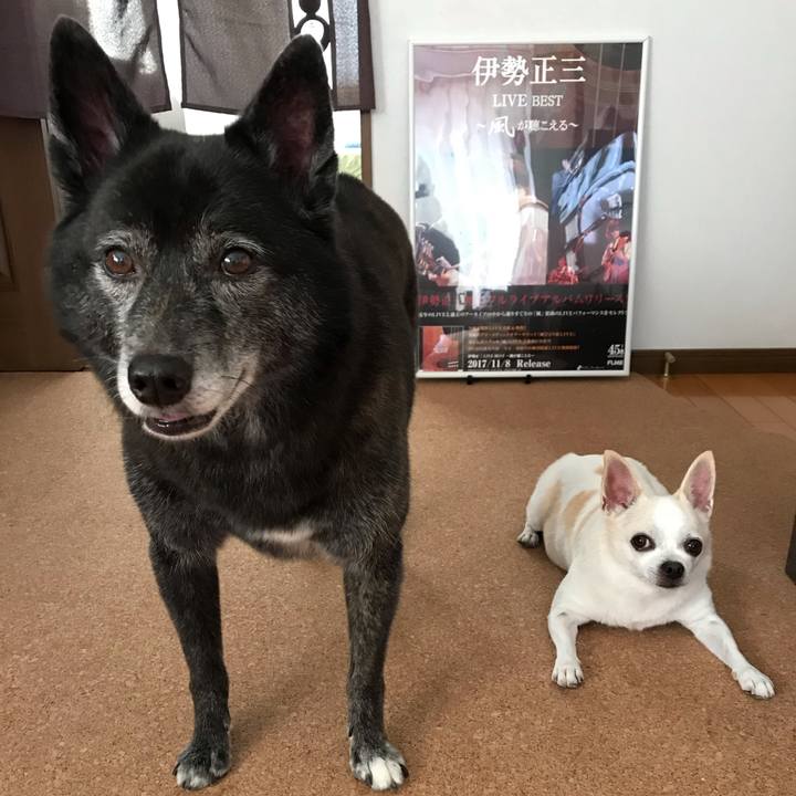 F8bde2e6 1531 4226 8fc6 e6f569c305b4 1538390671631