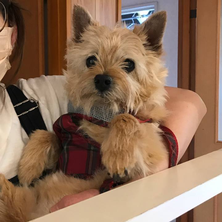 F8be1d38 2c01 43c3 a9b7 05a3a203dd4d 1652594872000