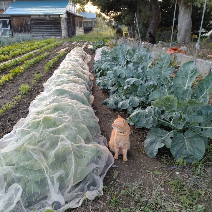 F8be3e95 753d 4277 bfc1 925e1a44a1e5 1695977508030