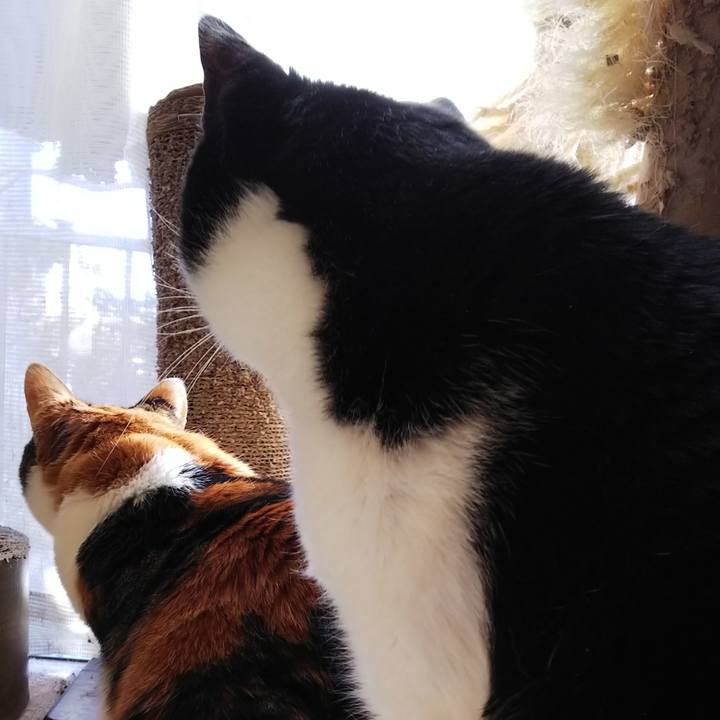 F8be52a3 6dfe 470d ab9d 94e900220bfd 1548567083579