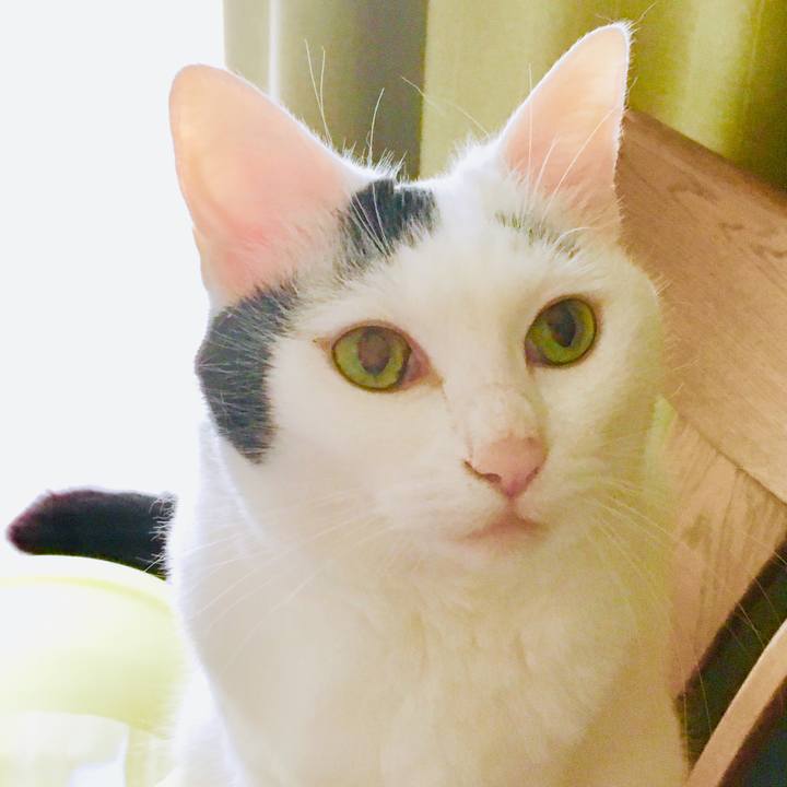 F8be52d3 faa3 48ef 88d0 43b551890bd0 1562998590523