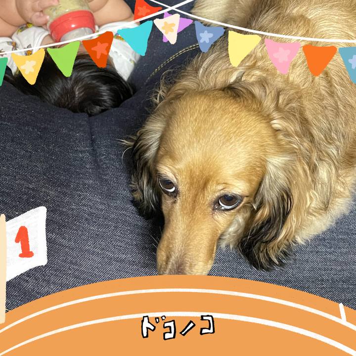 F8be703d ff21 4d3f 9edf de8730976110 1761405957445