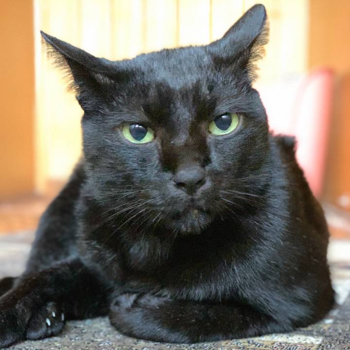 F8be97ee f3dc 47d0 b573 015435622bb0 1572225801367