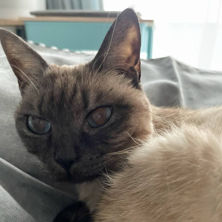 F8bec8eb 5955 4744 a579 72fe2f23c4a1 1772246796261