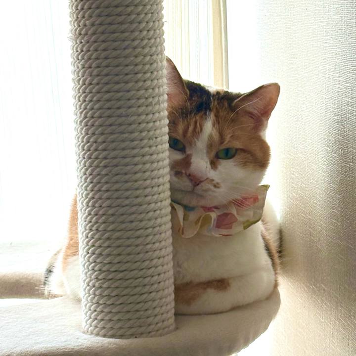 F8bed8a7 c5d0 4c75 a286 e6ae61671472 1773461404073