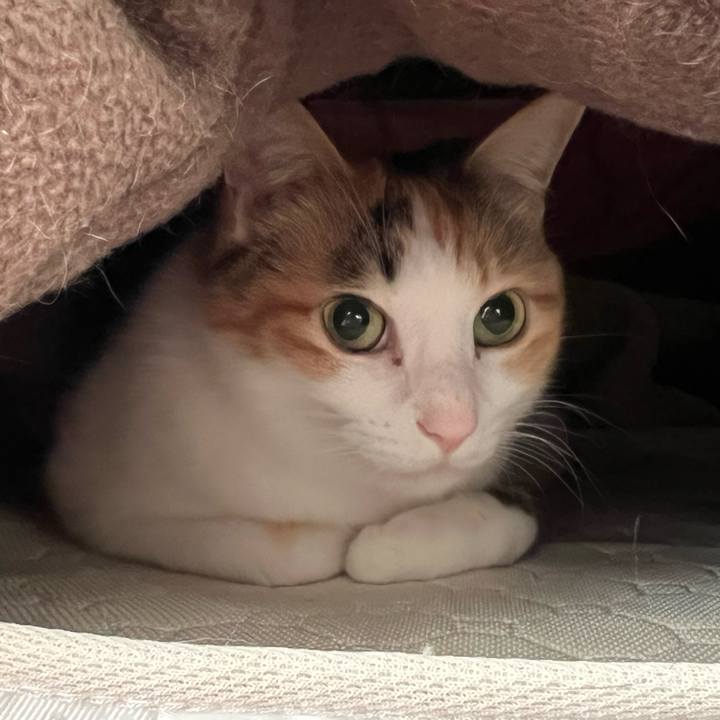 F8bee74a 141a 4680 84d3 ae9eb2f4fb91 1767825698409