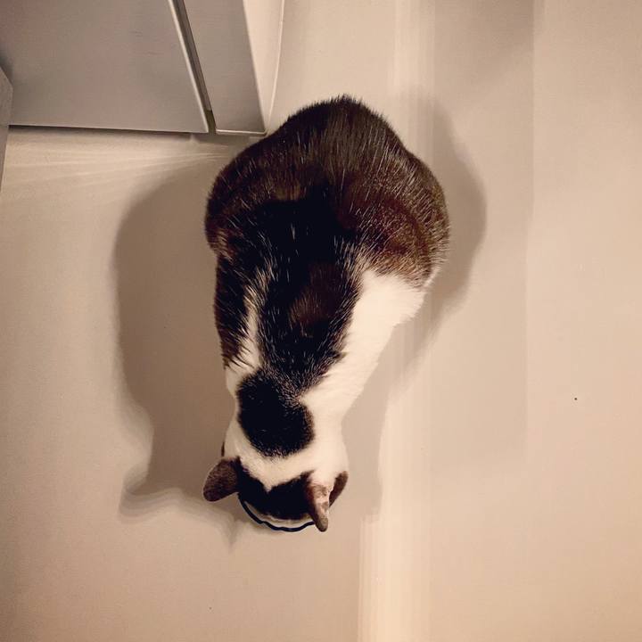 F8bf05bf c146 461b 9fac 8d1438cd3345 1587569179760