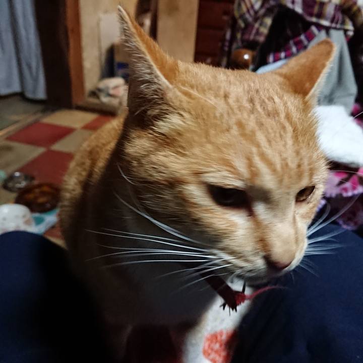 F8bf068f d397 494a 9c18 1d471b3df3f1 1574672931928