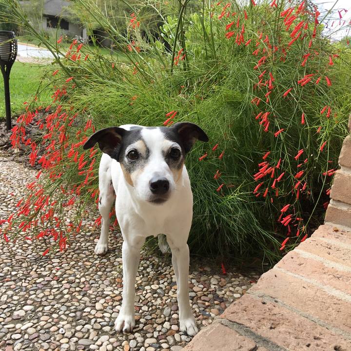 F8bf41d0 67af 4955 97ed 7c84babe4842 1553313086538