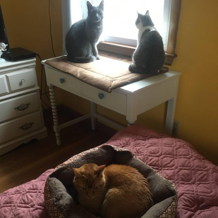 F8bf61f4 7f9a 419d 8913 90a4238142ae 1633393851903