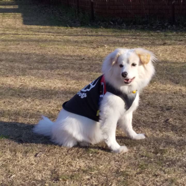 F8bf7656 c5f3 480d 92f2 853b643d1de4 1581562967665