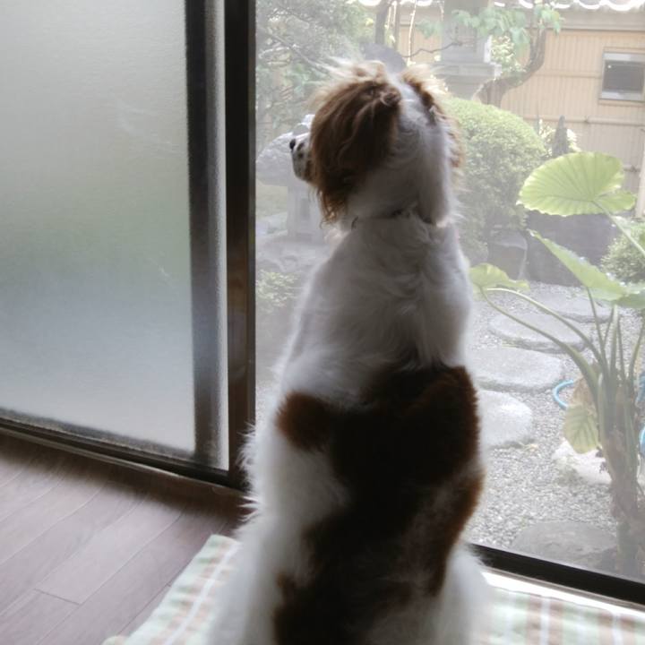 F8bf8c5a de1e 49f2 9304 a4aadbd9c20e 1525482471796