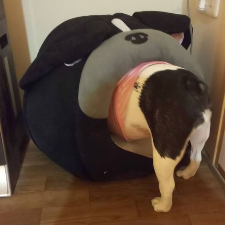 F8bf8cf7 079d 48f2 a561 f7d0d6a0d853 1578744572502