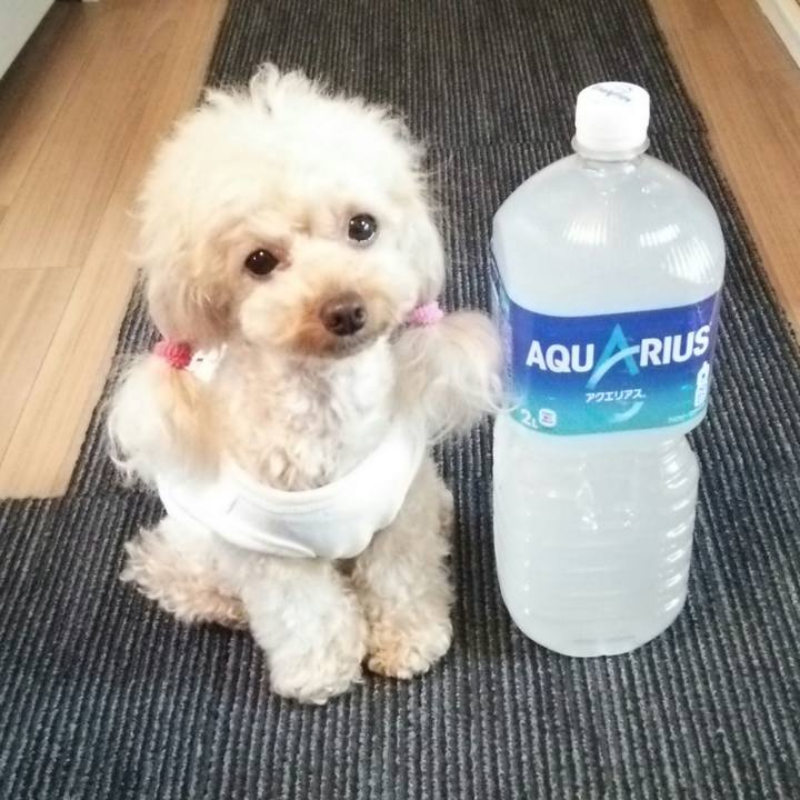 F8bfaa1c 4228 4268 83fe 0442a2740d6a 1532163075537