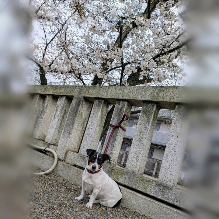 F8bfda26 70f8 4669 bfb7 d93f64697e59 1743078143587