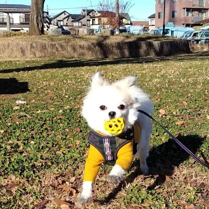 F8bffe68 b0ea 4da1 b885 9cbc27902b12 1702934593252