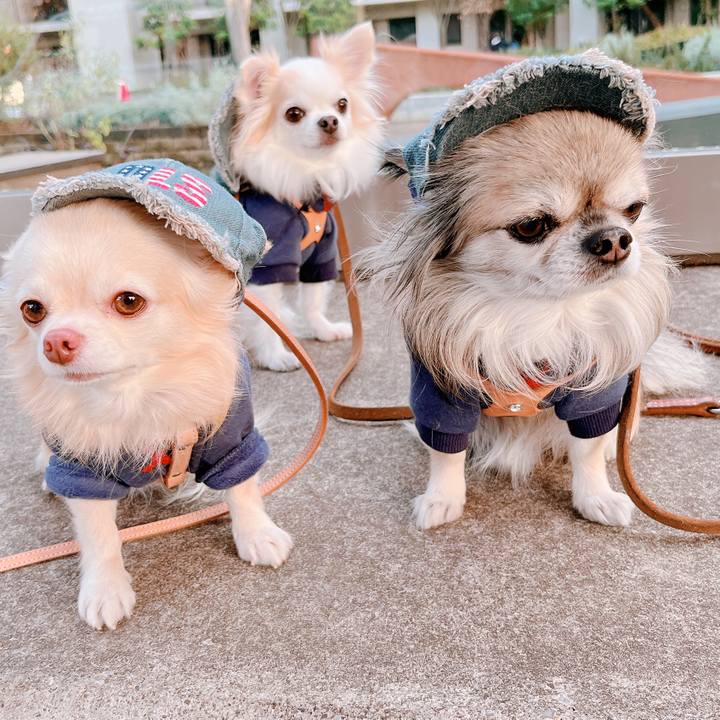 F8c0194c ca5b 437f 80eb 69e44915a387 1670665338307