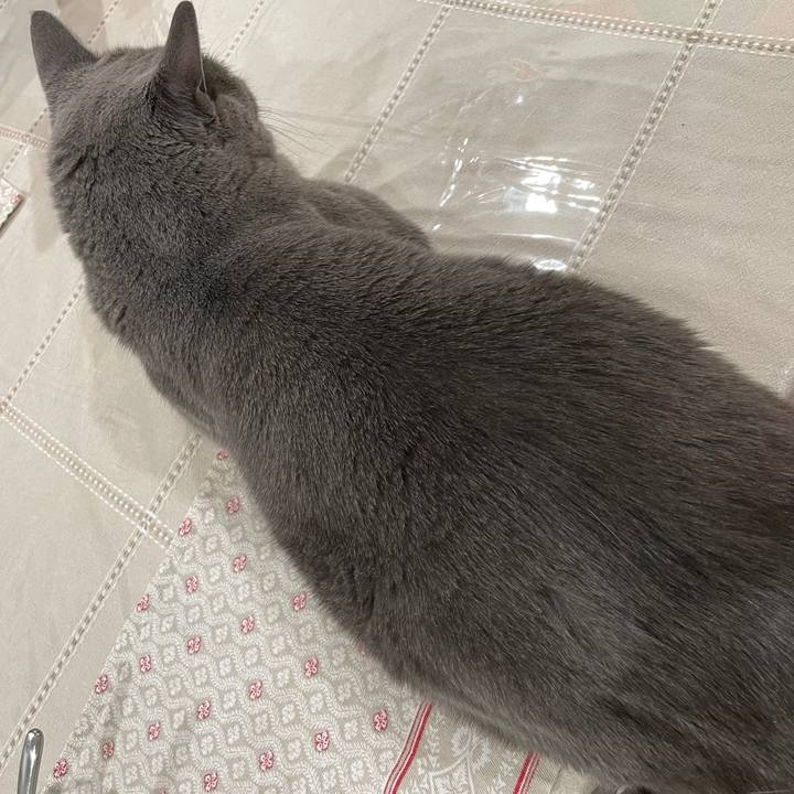 F8c07634 68c1 46fe b021 bb2572c4a1d3 1696078904573