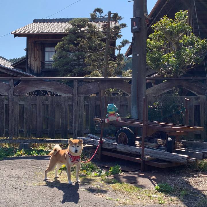 F8c0eb3d a8fb 490d 9b8b 2d7ea3c8bb94 1586347233226