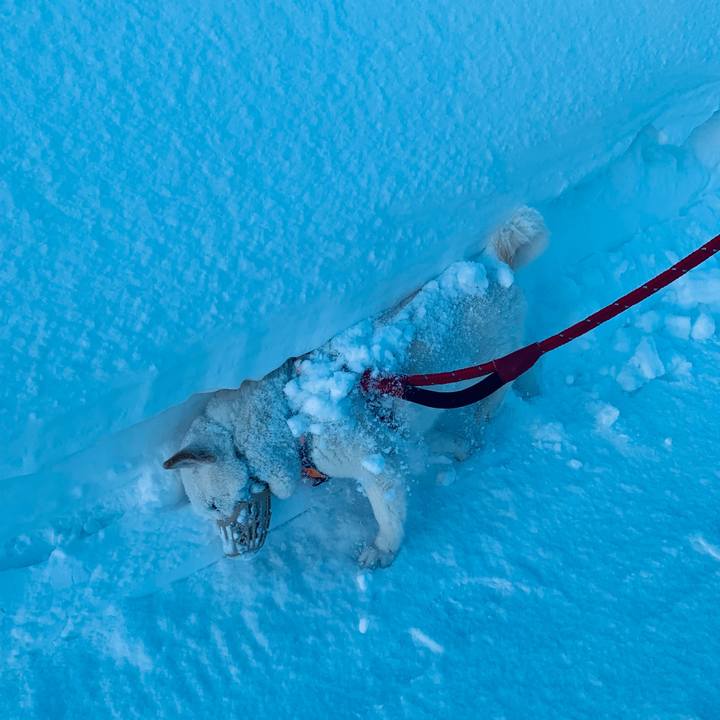 F8c1600d 68fc 4129 b338 d719806b37ad 1675550843395