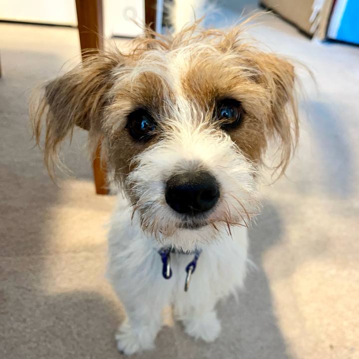 F8c1a862 bf65 453a 846c 2096346e5d65 1760569119419