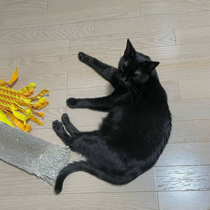 F8c1b4e0 f667 4609 8f89 eb1925c53e57 1697545019320