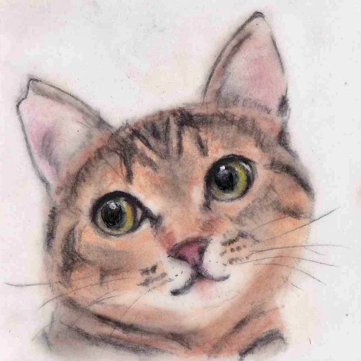 F8c1c8bf 9231 4ccc b961 9c748c7f1d2c 1646835918986