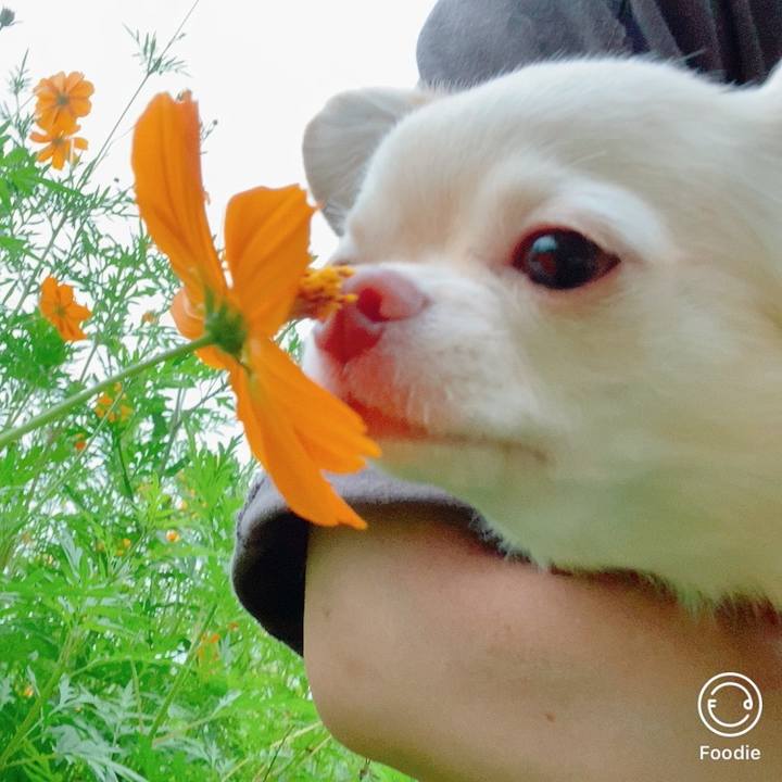 F8c20496 9348 4e86 b087 9d2074a45035 1631451276348