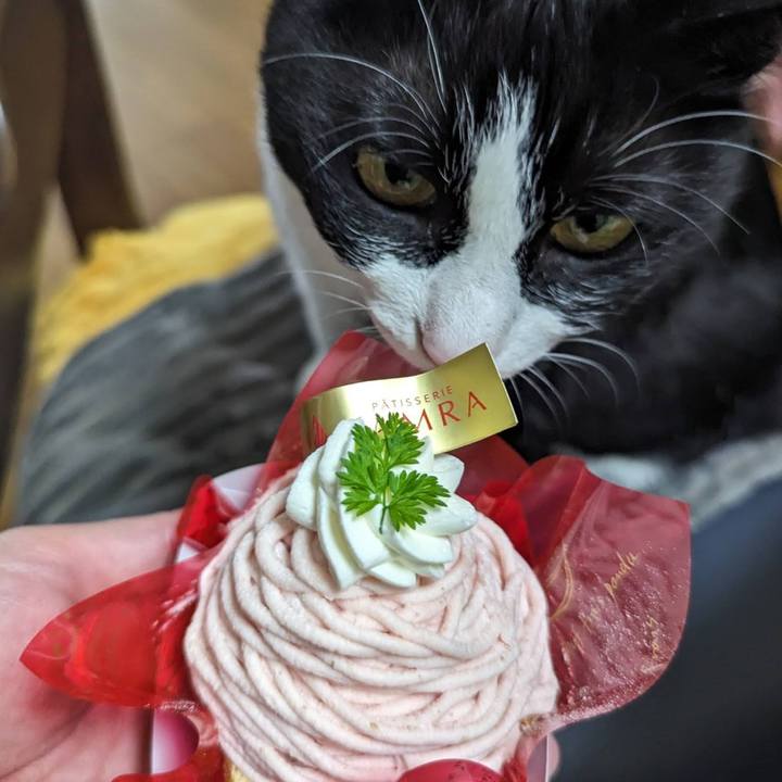 F8c21b8e 32d8 48b7 ba06 966929b93a19 1713610580078